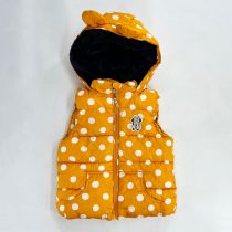 gilet orchestra jaune